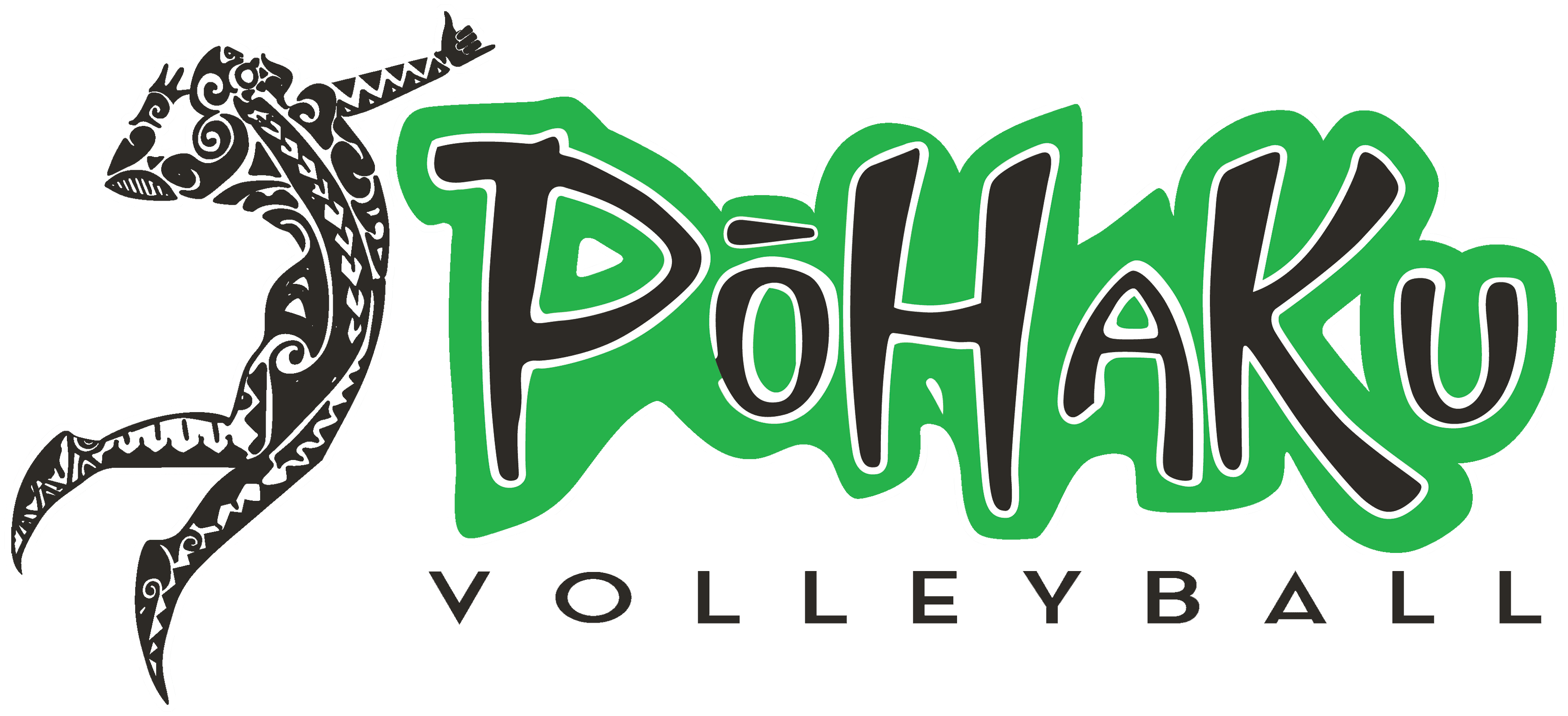 Pohaku Volleyball Club